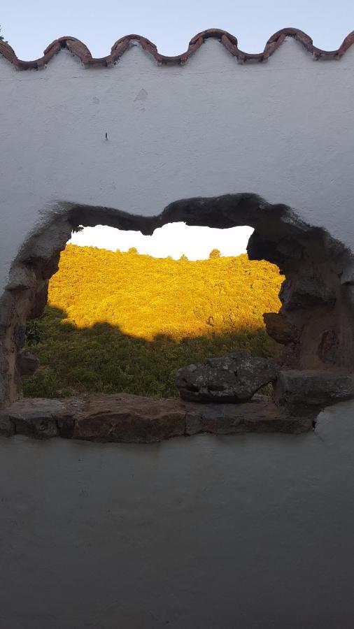 Gite Dans Ancienne Bergerie En Pleine Garrigue Fraissé-des-Corbières エクステリア 写真