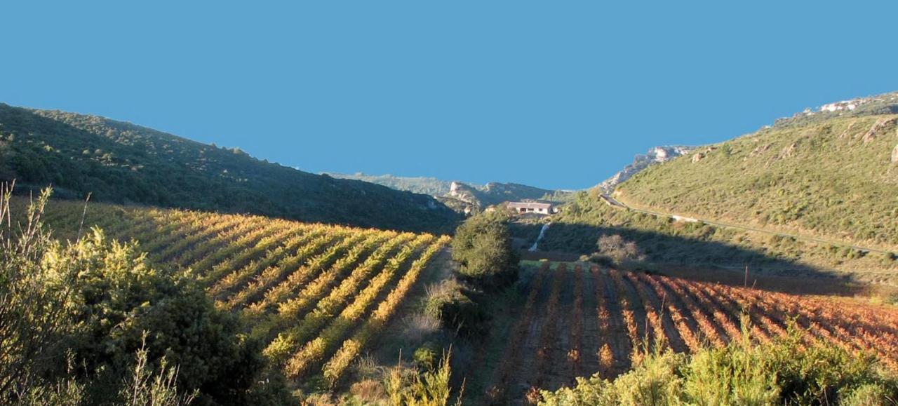 Gite Dans Ancienne Bergerie En Pleine Garrigue Fraissé-des-Corbières エクステリア 写真