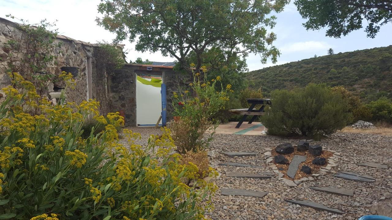Gite Dans Ancienne Bergerie En Pleine Garrigue Fraissé-des-Corbières エクステリア 写真