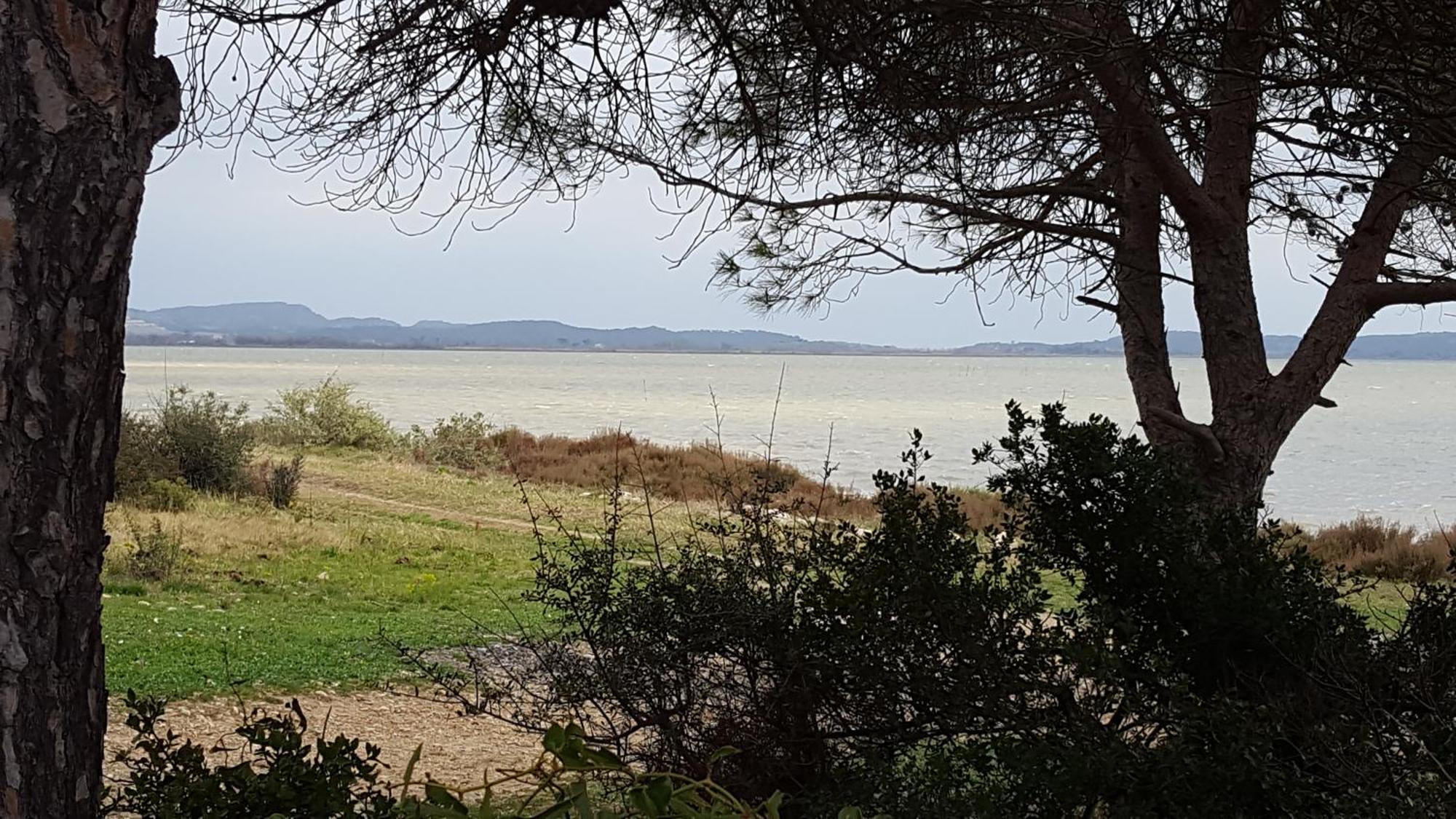 Gite Dans Ancienne Bergerie En Pleine Garrigue Fraissé-des-Corbières エクステリア 写真