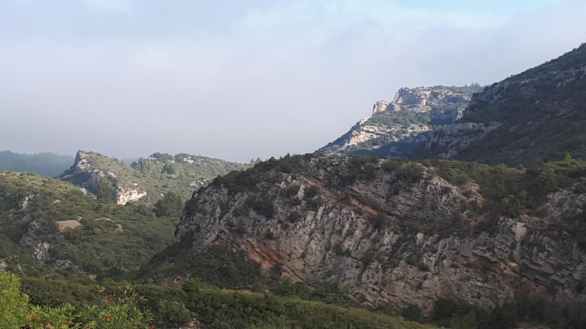 Gite Dans Ancienne Bergerie En Pleine Garrigue Fraissé-des-Corbières エクステリア 写真