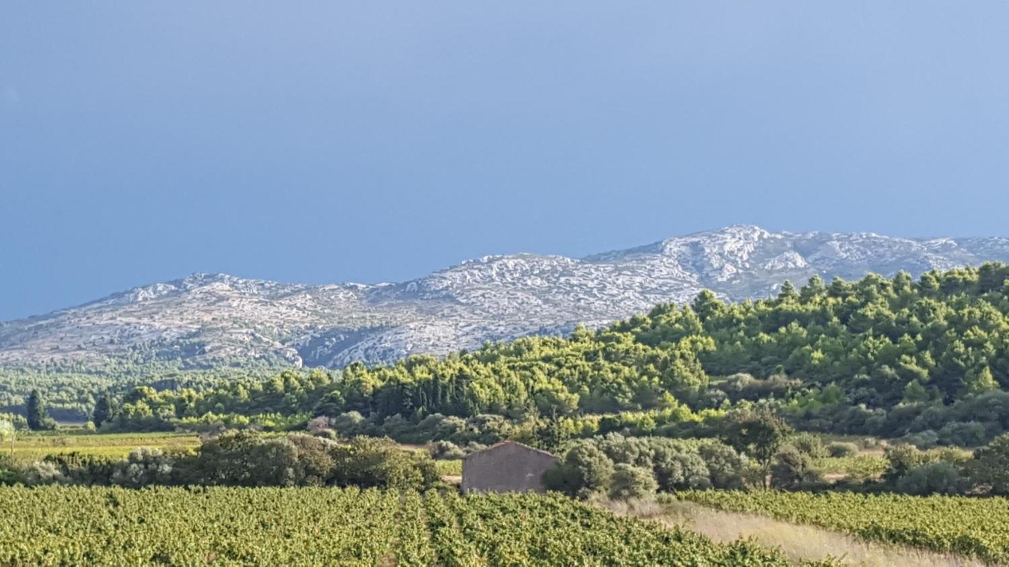Gite Dans Ancienne Bergerie En Pleine Garrigue Fraissé-des-Corbières エクステリア 写真